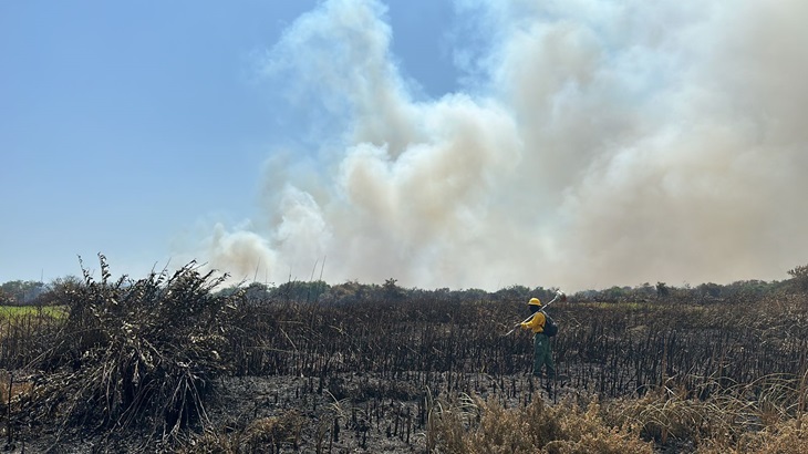 Llamado de urgencia al Gobierno nacional y autoridades ambientales de la región por quemas en Salamanca: Alcaldía de Barranquilla
